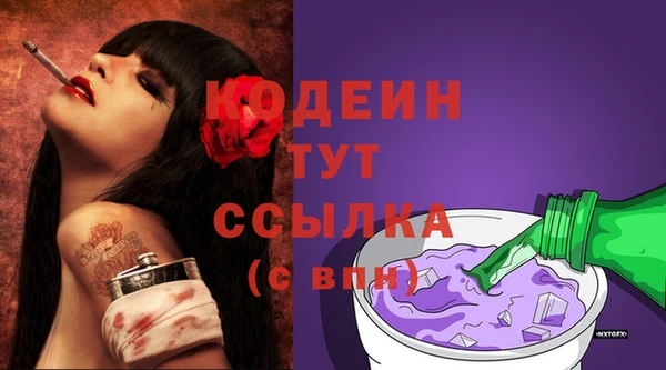 индика Верея